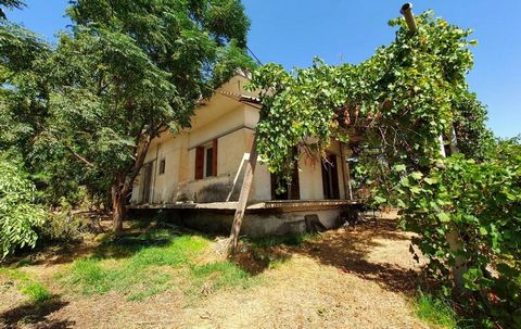 Detached house for sale in Pyrgos, Tragano. The house is 180 sq.m., on a plot of land of 6800 sq.m. located 2 km from the city center, 10 minutes from the beach and 20 minutes from Ancient Olympia. Mainly a 120sq.m. residence and an additional (inter...
