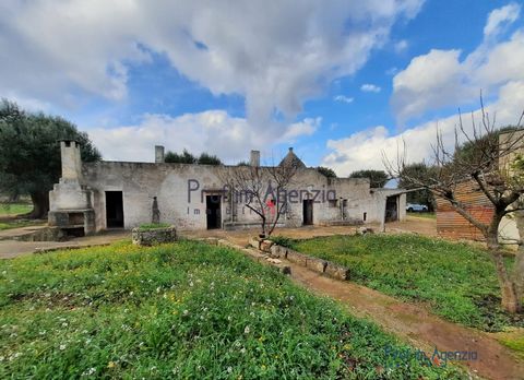 For sale is an interesting complex of trulli and lamia to be renovated in the countryside of Ceglie Messapica, located in a quiet and reserved area on splendid land cultivated with centuries-old olive groves, almond groves and a few fruit trees. The ...