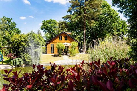 Cycling, hiking, playing, swimming and much more amidst the woods. This holiday park borders with the nature area Veluwe near Ede. It offers all sorts of facilities for both young and old. The kids can enjoy themselves in the playgrounds, the heated ...