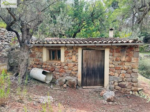 Fantastic Rustic Finca in the Municipality of Soller, 25 minutes walk from the Port of Soller. It has a beautiful stone house of about 28 m2 that can be a perfect studio to live or to spend weekends surrounded by nature. The farm has olive and carob ...
