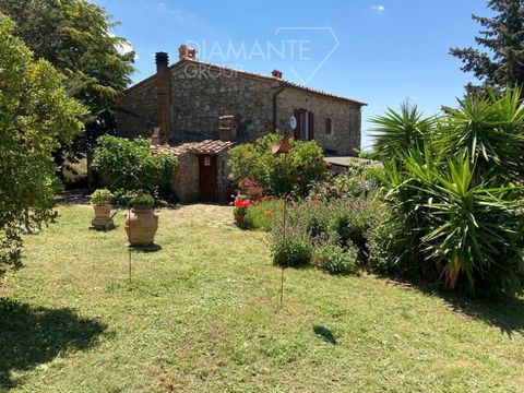 ROCCASTRADA(GR): Organic farm with approximately 8 hectares of land, featuring a stone farmhouse currently used as a hospitality facility. The land is hilly and divided as follows: Approximately 2000 square meters of vineyard Approximately 6 hectares...