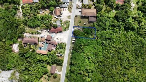 Excellent location, this commercial lot is just under 5,000 square feet, with 50 feet of frontage on the main Queen---s Highway in Palmetto Point, Eleuthera, Bahamas. Just outside the town of Governor---s Harbour and in the town of Palmetto Point off...