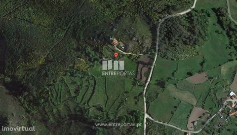 Land with an area of 6,975 m2. It has a house for restoration with 200 m2 of implantation. Magnificent view. Located in Serra da Aboboreira. Excellent sun exposure. Ref.: MC03845. FEATURES: Land Area: 6,975 m2 Area: 6,975 m2 Used Area: 207 m2 Energy ...
