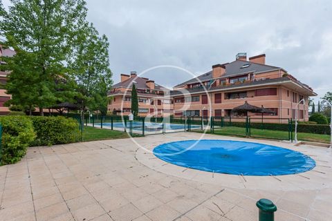 Appartement meublée de 147 m2 avec terrasse de 15m2 dans la région de Pinar - Punta Galea, Las Rozas.La propriété dispose de 3 chambres, 2 salles de bain, piscine, salle de sport, 1 place de parking, climatisation, armoires intégrées, buanderie, jard...