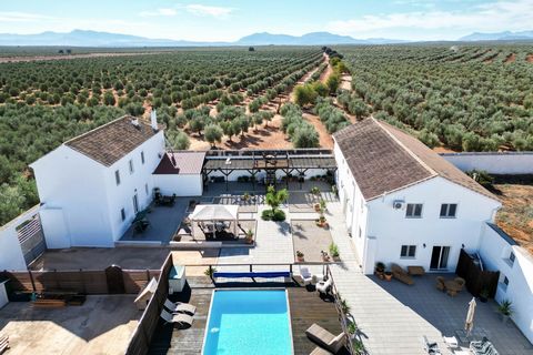 This spectacular cortijo located in Sierra de Yeguas, surrounded by olive groves, is just a few minutes away from the town center, connected by the MA-454 road. It's approximately a 30-minute drive from Antequera and about an hour from the center of ...