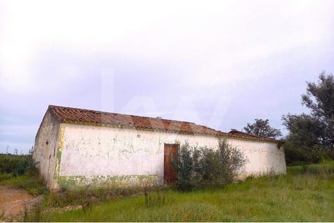 Ensemble de deux terrains et une ruine situés à Ribeira de Arade, São Bartolomeu de Messines. Le terrain a une superficie totale de 21 280 m2 et la ruine a une superficie brute de construction de 130 m2. Terrain idéal pour développer un projet agrico...