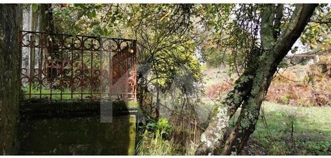 A meno di un'ora di distanza dalla città di Porto, a Castelões-Penafiel, troviamo questa deliziosa fattoria, che sembra tratta dalla fiaba dei fratelli Grimm, La casa del cioccolato. Ad eccezione della Casa da Eira, che è stata restaurata, tutti gli ...