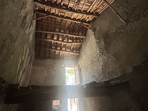 photo no. 3