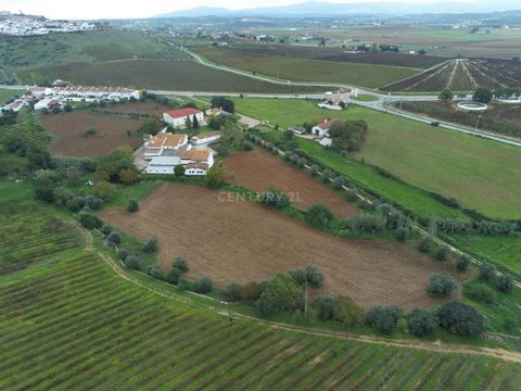 Située à Estremoz, à 1h30 de Lisbonne, 30 minutes de Badajoz et à 500 mètres de l'A6 (Lisbonne/Madrid), cette magnifique ferme, qui servait pendant quelques années de refuge pour jeunes, sous l'abri d'une institution privée de Solidarité Sociale, est...