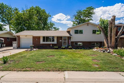 This delightful 4-bedroom, 1.5-bath tri-level home with an attached one-car garage awaits your designer touches. Nestled in the highly sought-after Martindale neighborhood, this home boasts a large yard, a spacious concrete patio, a large laundry roo...