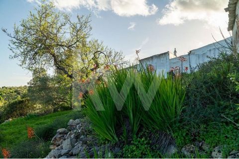 Découvrez votre escapade parfaite au cœur de Santo Estêvão, Tavira. Cette ruine de 90 m2 est située sur un terrain spacieux de 4120 m2, avec des arbres fruitiers, des fleurs locales, des amandiers, des oliviers et des caroubiers et offre une vue impr...