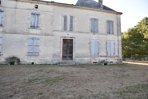 photo no. 2
