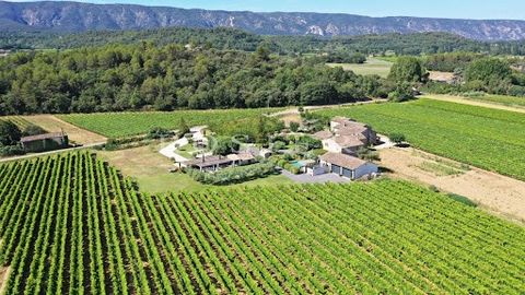 Entre les villages perchés de Ménerbes et Goult, à quelques minutes de Gordes, propriété de charme rénovée avec des matériaux de qualité. L’ensemble comprend un authentique mas du XVIIIème avec ses dépendances, mitoyenneté sur l’arrière non-gênante. ...