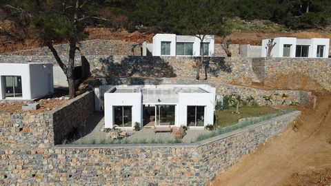 Einstöckige Steinhäuser mit Gemeinschaftsschwimmbad in Yalıçiftlik Bodrum Yalıçiftlik ist ein beliebtes Tourismuszentrum in Bodrum, Muğla. Yalıçiftlik zieht Investoren und Urlauber an. Es beherbergt weltberühmte Hotels, wunderschöne Buchten, Pinienwä...