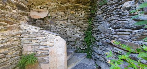 photo no. 26