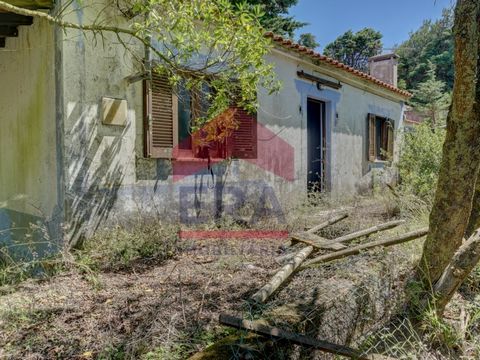 Almacenamiento y depósito utilizado como vivienda ubicado en Amoreira, Óbidos. Con 113m2 de área de construcción y ubicado en un terreno de 3360m2. Espacio exterior con buena exposición al sol. A 10 minutos de la Villa Medieval de Óbidos y a 15 minut...