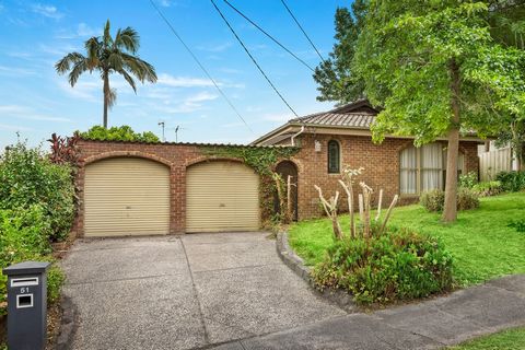 Just a few leisurely steps from Yarraleen Reserve, St Clements of Rome School, and Marcellin College, this spacious family home is a rare lifestyle gem both for today and the future. Boasting four bedrooms, two bathrooms, and two expansive living are...