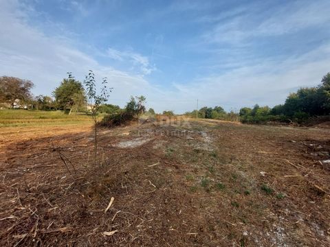 ISTRIA, KRŠAN - Działka budowlana z pozwoleniem na budowę Kršan to gmina położona wśród zieleni wschodniej Istrii. Może poszczycić się bogatym dziedzictwem kulturowym i historycznym, które w niektórych miejscach sięga XI wieku, począwszy od Krsnej Ka...