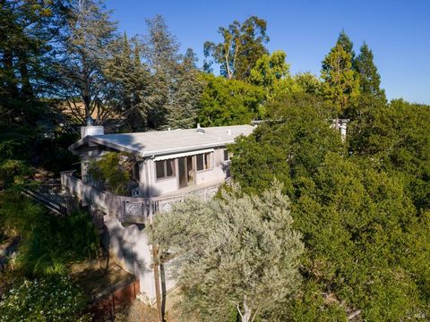 Your dreams can be here up on the hill near downtown Fairfax. This 4 bedroom mid-century home located in serene Marin has promise and potential. Features cathedral ceilings in the living room and upstairs bedrooms. Kitchen has granite countertops, st...