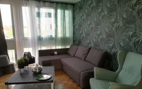 photo no. 9