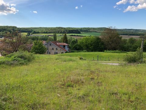 En exclusivité sur la commune de La Creuse (70240) Axe Vesoul Lure terrain viabilisé de 1020 m2 au prix de 25 990 Euros Pour visiter et vous accompagner dans votre projet contacter Stéphanie VOISIN au 06.65.39.88.48 agissant sous le statut d'agent co...