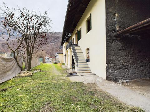 photo no. 8