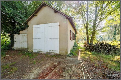 photo no. 15