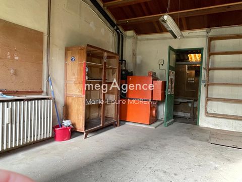 photo no. 17