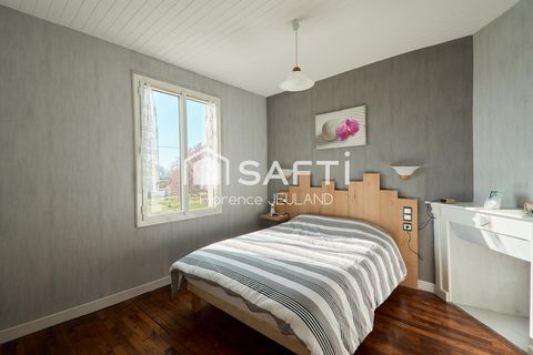 photo no. 8