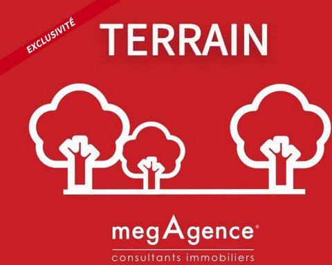 Terrain