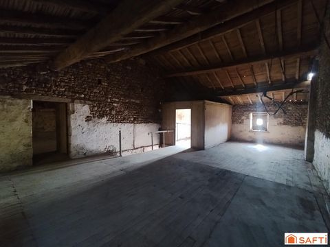 photo no. 11