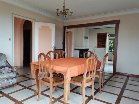 photo no. 5