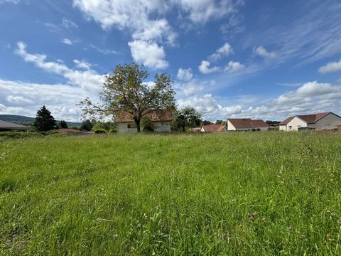 TERRAIN CONSTRUCTIBLE VIABILISE PLAT