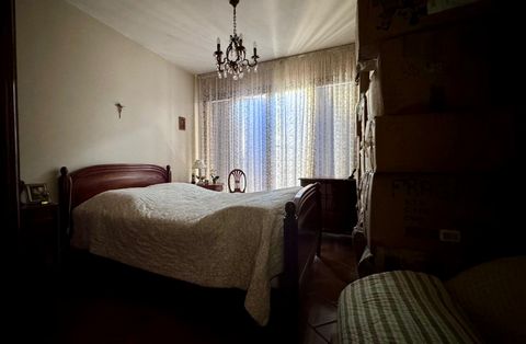 photo no. 18