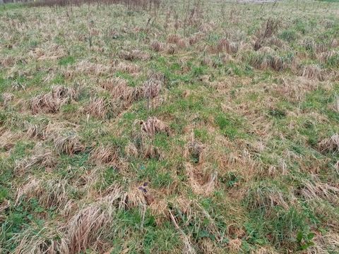 Dpt Seine Maritime (76), à vendre proche de NORMANVILLE terrain