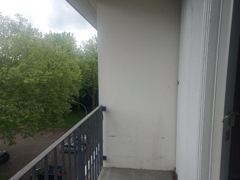 photo no. 2