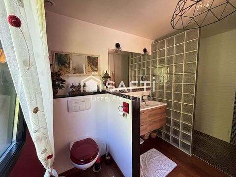 photo no. 11
