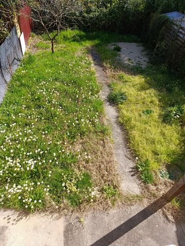 photo no. 10