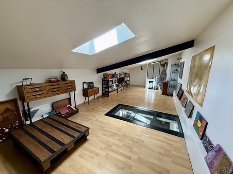 photo no. 11