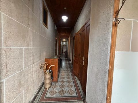 photo no. 8
