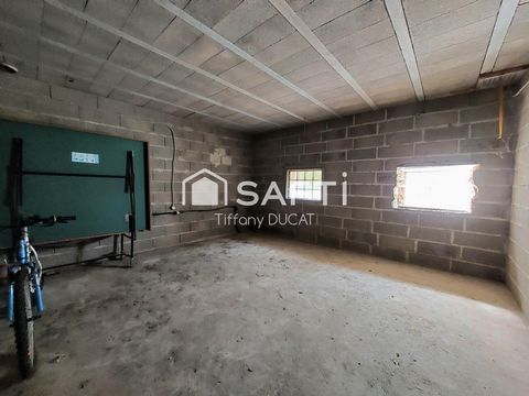 photo no. 12