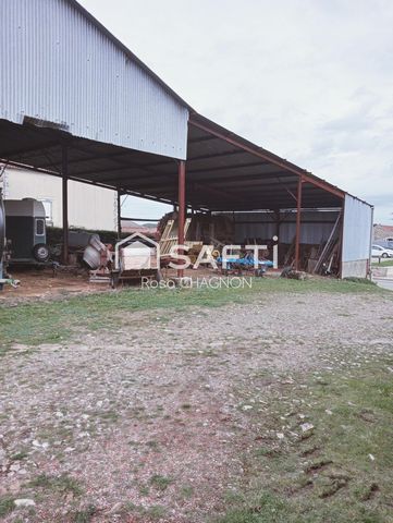 photo no. 2