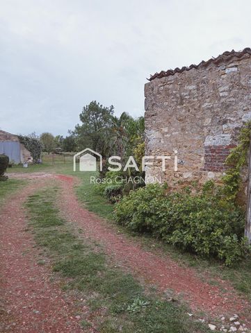 photo no. 5