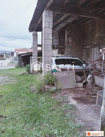photo no. 12