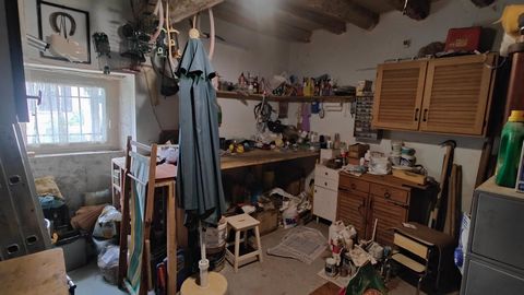 photo no. 15