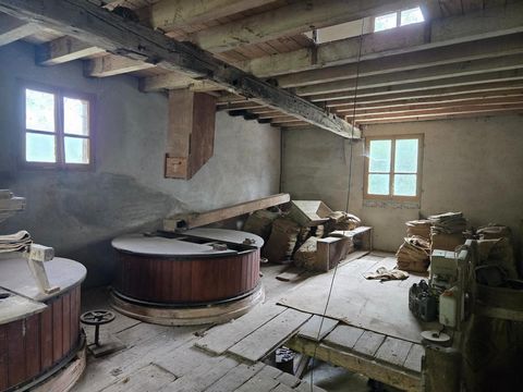 photo no. 11