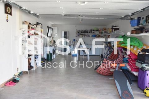 photo no. 11