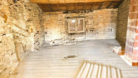 photo no. 15