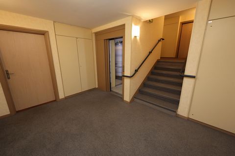 photo no. 8