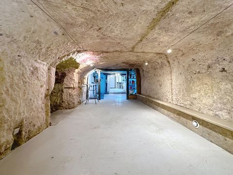 Local/bureau à vendre MONTLOUIS SUR LOIRE (37)